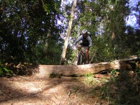 20050828-Mooney 006 